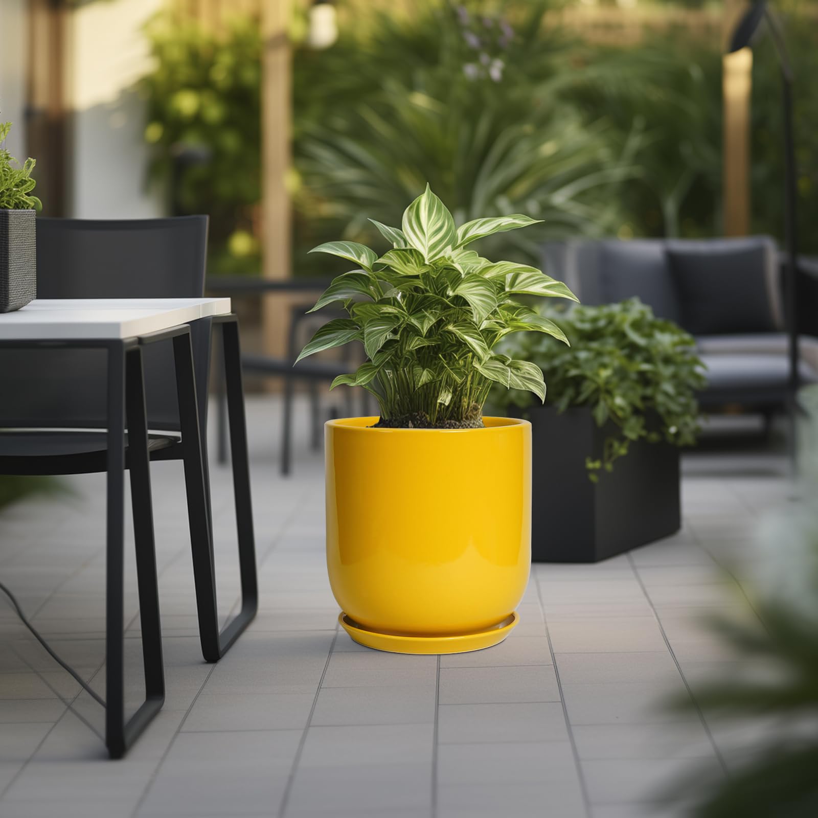 Amazon.co.jp: SUNPOTFOR 12インチ植物用ポット - 屋外植物用